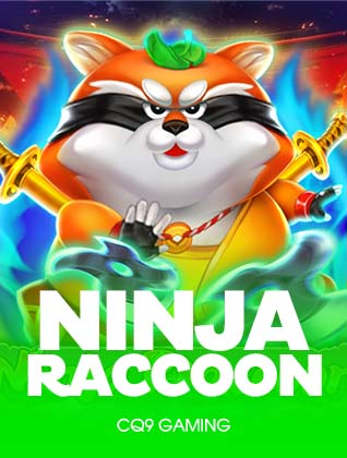 Ninja raccoon
