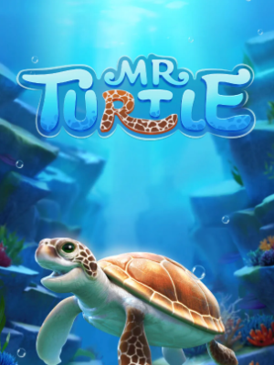 Mr Turtle