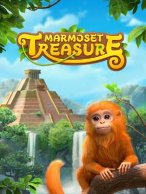 Treasure Marmosets